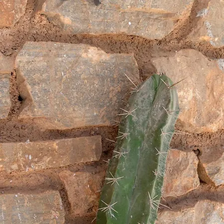 Nyaraló Captain View *