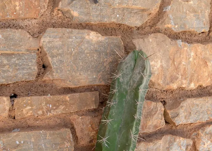 Semesterbostad Captain View *